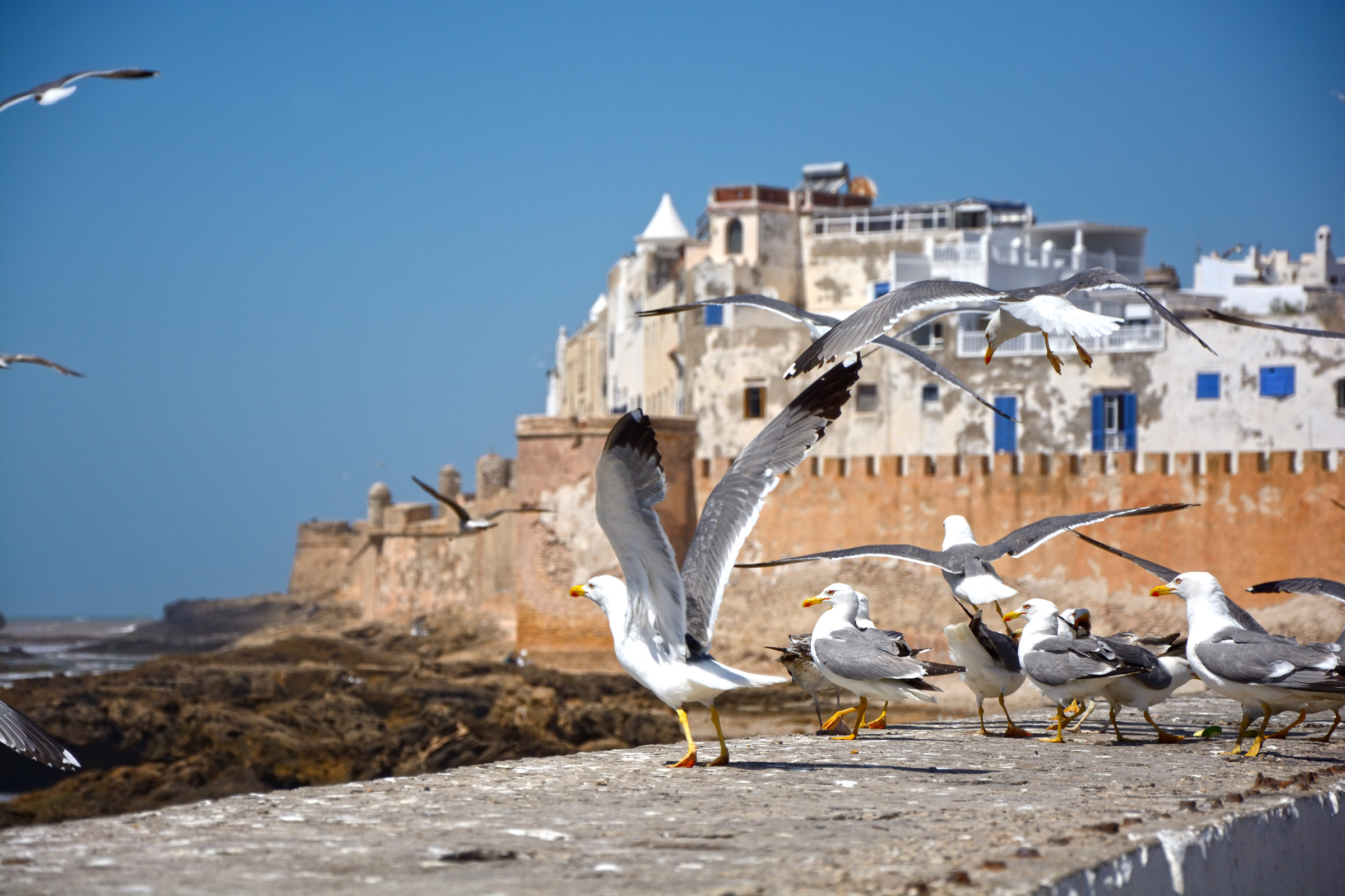 Essaouira